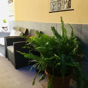 New Albergue